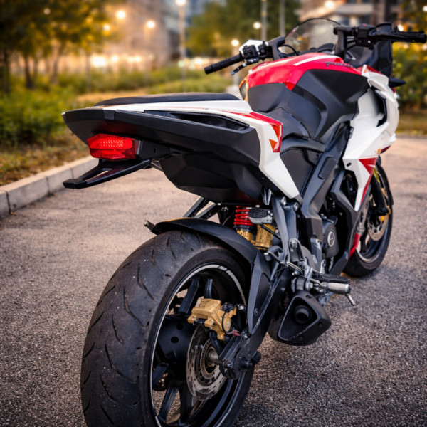 TAIL LIGHT PULSAR RS200