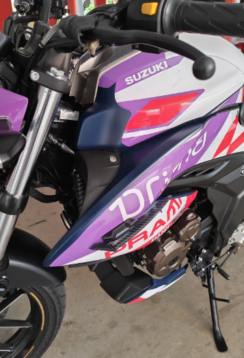 WINGLET SUZUKI GIXXER 250 | NAKED MODEL