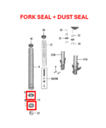 FORK SEAL + DUST SEAL COVER KTM DUKE | RC 200/250/390