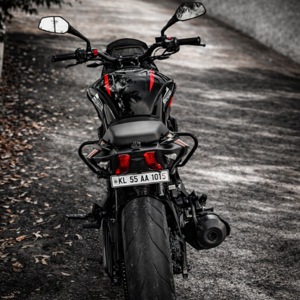 TAIL TIDY + PLATE HOLDER DOMINAR 250/400