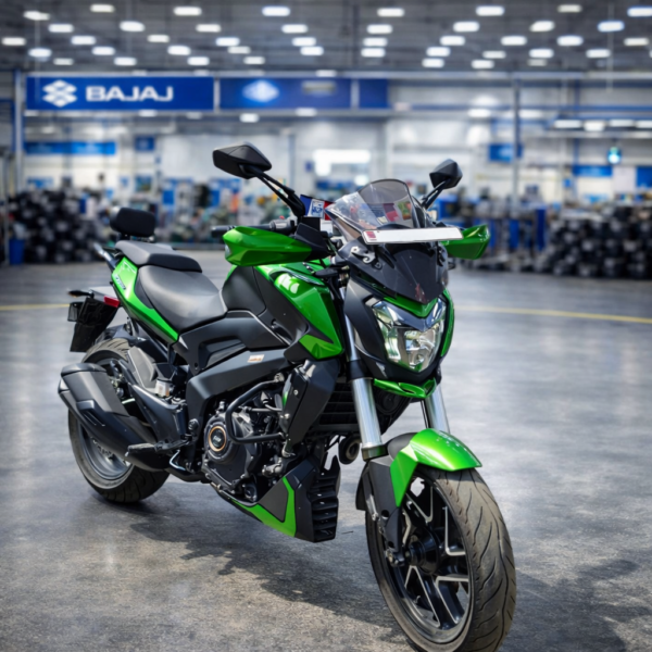 MINI WINGLET DOMINAR 250/400