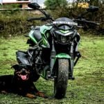 TANK SHROUD DOMINAR 250/400