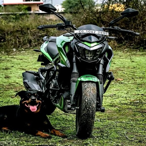 TANK SHROUD DOMINAR 250/400